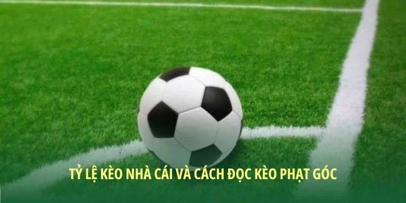 Cách đọc kèo này dễ hiểu nhất cho hội viên