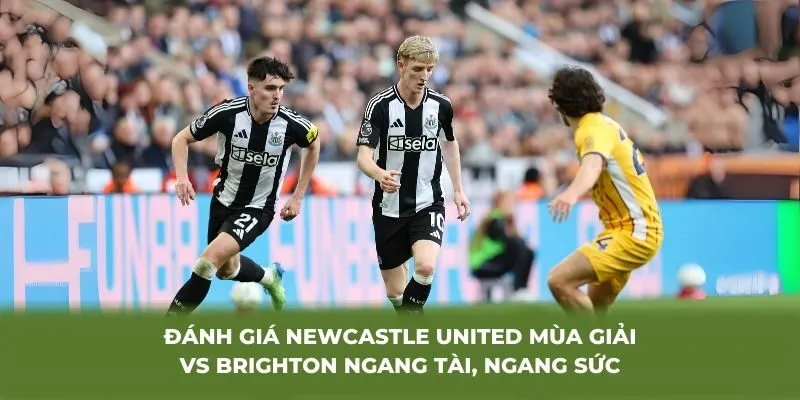 Đánh giá Newcastle United mùa giải vs Brighton ngang tài, ngang sức