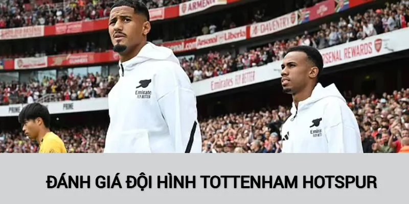 Đánh giá Tottenham Hotspur mùa giải về đội hình