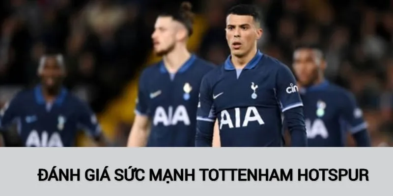 Đánh giá Tottenham Hotspur mùa giải về sức mạnh
