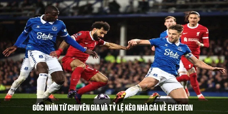 Đánh giá Everton mùa giải từ chuyên gia và nhà cái