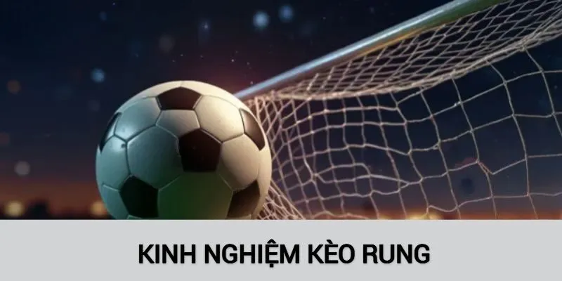 Mẹo chơi kèo rung là kim chỉ nam của hội viên mới