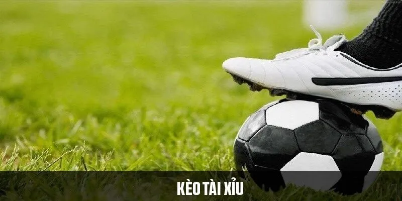 Hướng dẫn đọc kèo tài xỉu