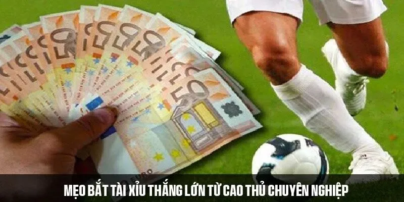 Mẹo bắt tài xỉu thắng lớn từ cao thủ chuyên nghiệp